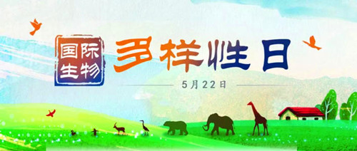 2001年05月22日：国际生物多样性日
