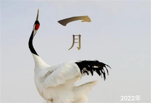 2022年放假安排