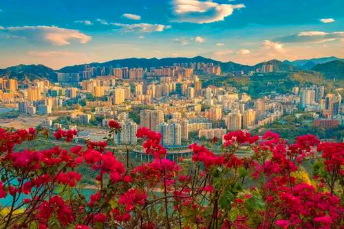 攀枝花是哪个省的城市