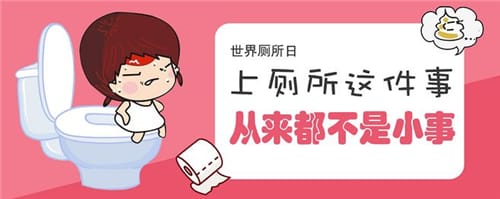 2013年11月9日：世界厕所日诞生