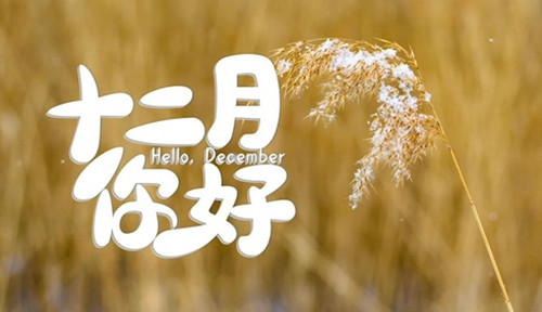 有什么适合十二月发的文案