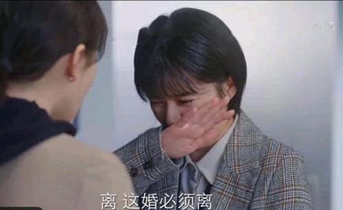《亲爱的自己》刘洋跟魏亚云同居张芝芝决定离婚