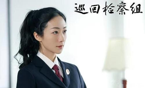 《巡回检察组》不符合逻辑的剧情
