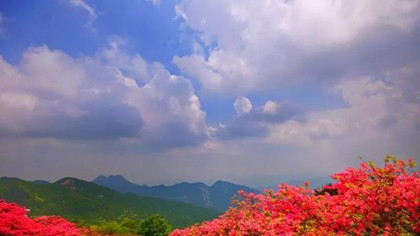 《桃花源记》的思想感情