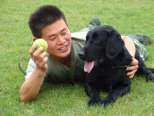 搜救犬泰森离世