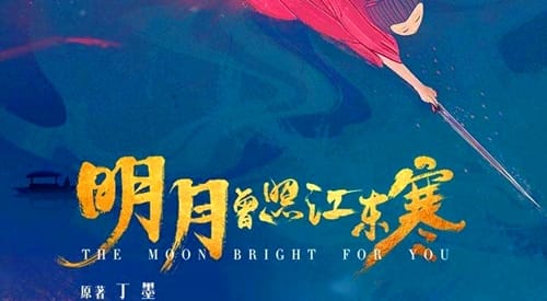 《明月曾照江东寒》的原著讲的什么