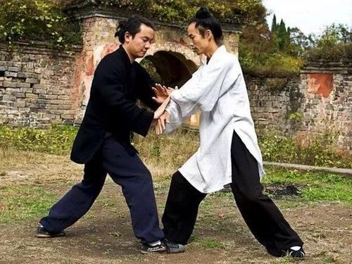 太极推手介绍