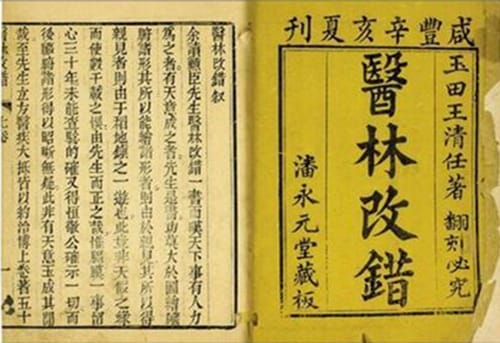 《医林改错》作品介绍