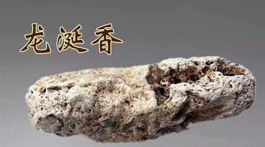 龙涎香的来源