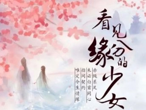 《看见缘分的少女》是什么剧