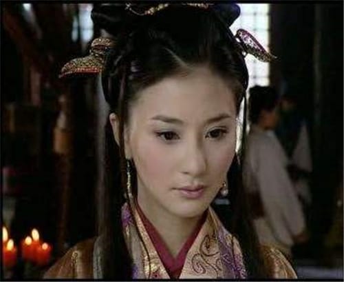 卫长公主的人物介绍