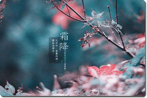 霜降节气有什么风俗