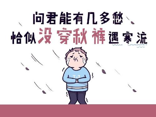 秋裤党什么意思