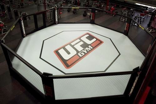 UFC比赛的发展史