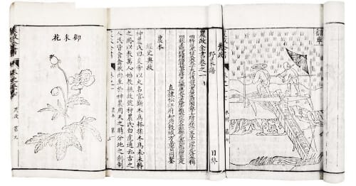 《农政全书》：农业科学遗产总汇