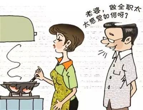 全职太太是什么意思