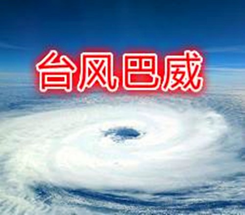 热带风暴巴威介绍