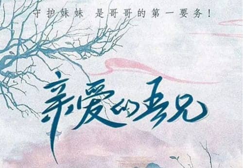 《亲爱的吾兄》讲了什么