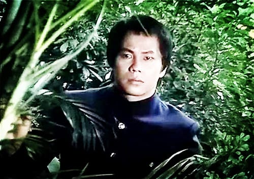 陈真生平简介
