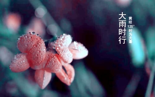 大暑的天气特点