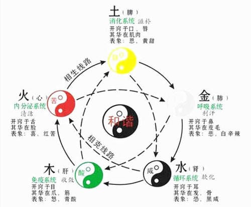 地支的各种类象是什么