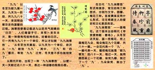 消寒图有多少种形式