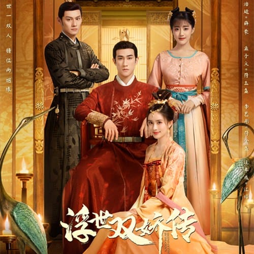 《浮世双娇传》讲了什么