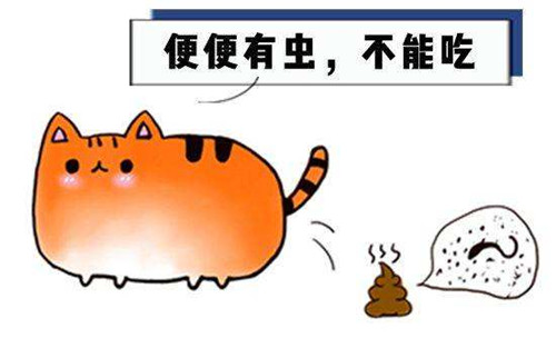 弓形虫是怎么感染的