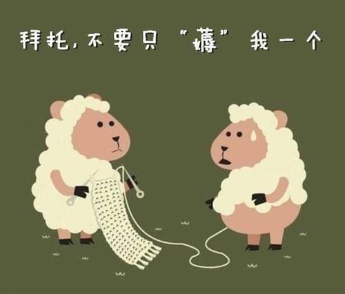 什么叫做羊毛党