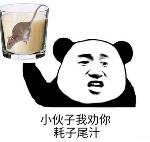 年轻人耗子尾汁什么梗