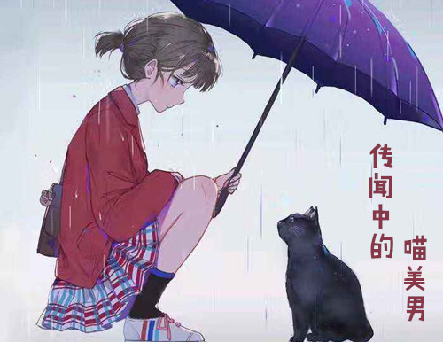 《传闻中的喵美男》角色介绍