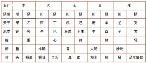 十二地支五行属性分别对应什么