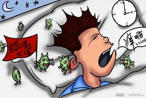 螨虫的种类及危害