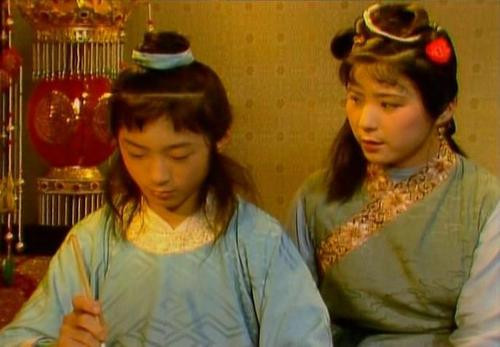 贾环为什么和贾宝玉过不去