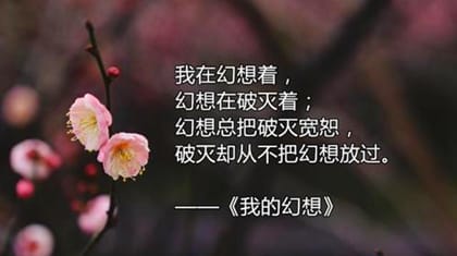 《我的幻想》顾城生命的纯粹