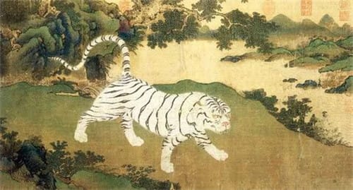 山海经中真实存在的动物驺虞