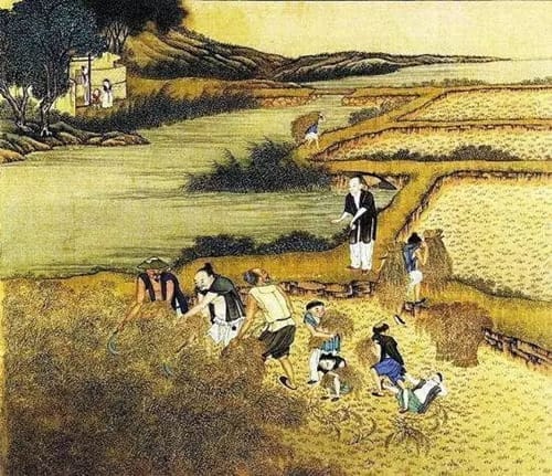 明朝的农业经济发展