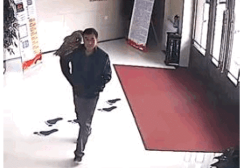 男子捡到猫头鹰送派出所