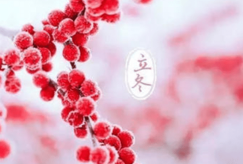 立冬发朋友圈的精美句子