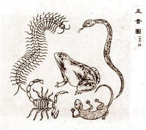 端午节的民间传说