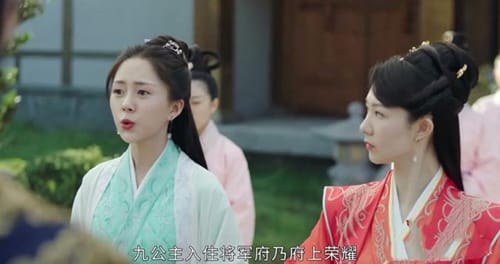 《将军家的小娘子》沈锦助九公主寻爱
