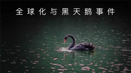 黑天鹅事件是什么意思