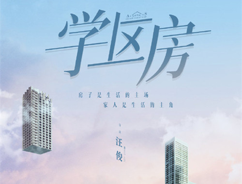 电视剧《学区房》介绍