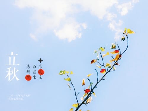 立秋的天气特点与农事指南
