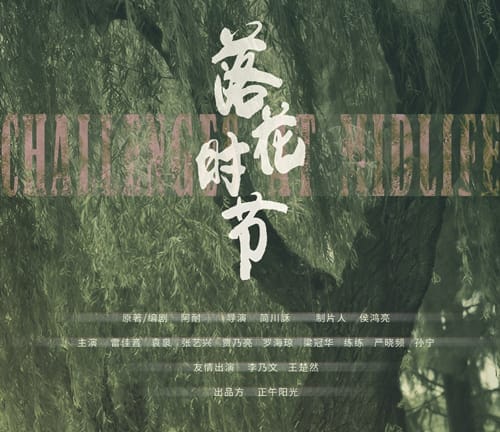 《落花时节》讲述了什么