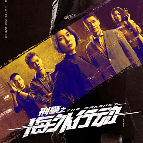 《刑警之海外行动》讲了什么