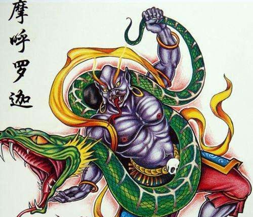 莫呼洛迦的相关介绍