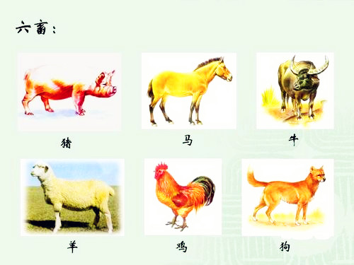 六畜的起源