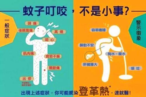 登革热的临床表现