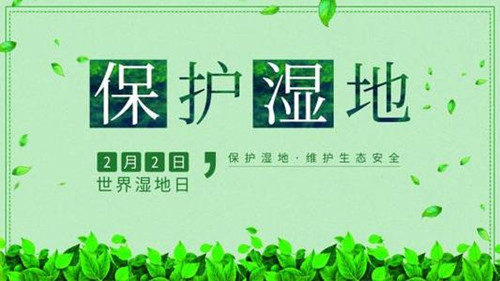世界世界湿地日是怎么来的